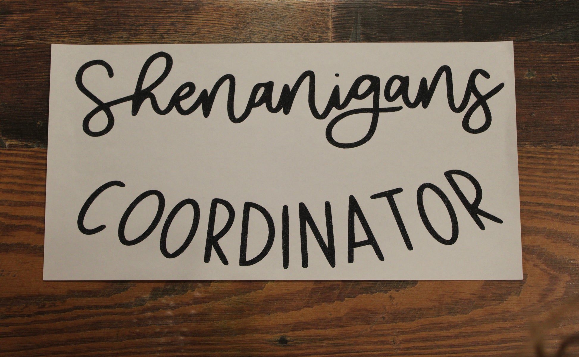 Shenanigans Coordinator